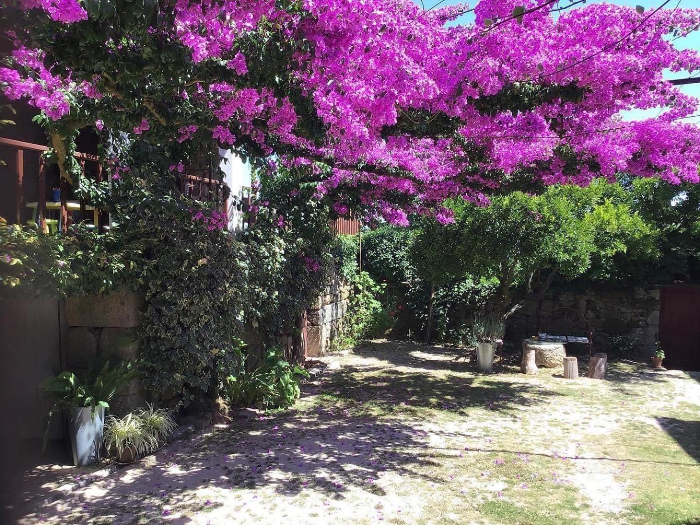 Casa De Cerqueda Appartement Celorico De Basto Buitenkant foto